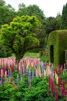 Garden Chatsworth House - Great Britain