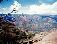 Lookout Wiamea Canyon - Kauai, Hawaii