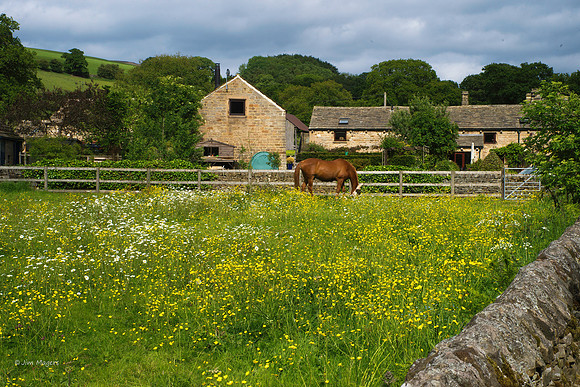 North Derbyshire - Great Britain
