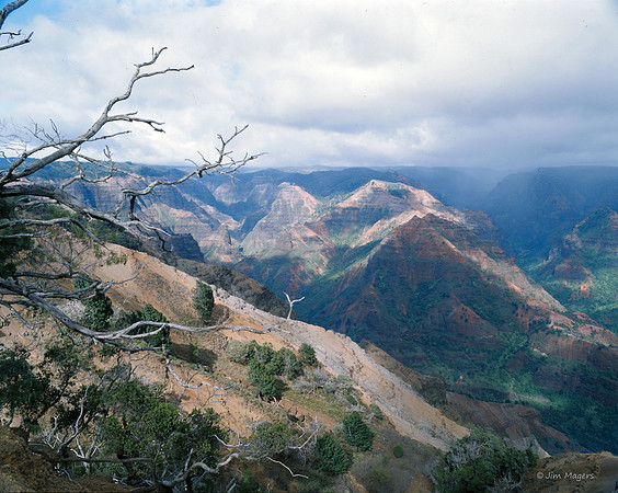 Overlook Wiamea Canyon - Kauai, Hawaii